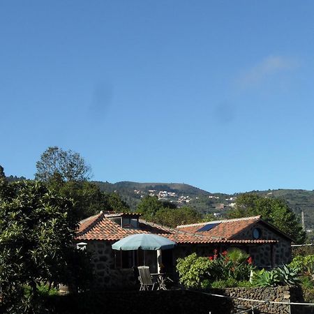 Finca Cueva Del Viento Icod De Los Vinos Cameră foto