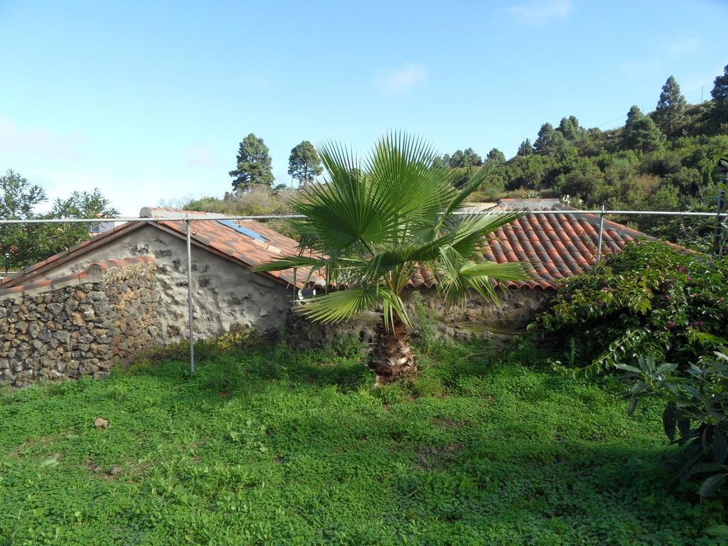 Finca Cueva Del Viento Icod De Los Vinos Cameră foto