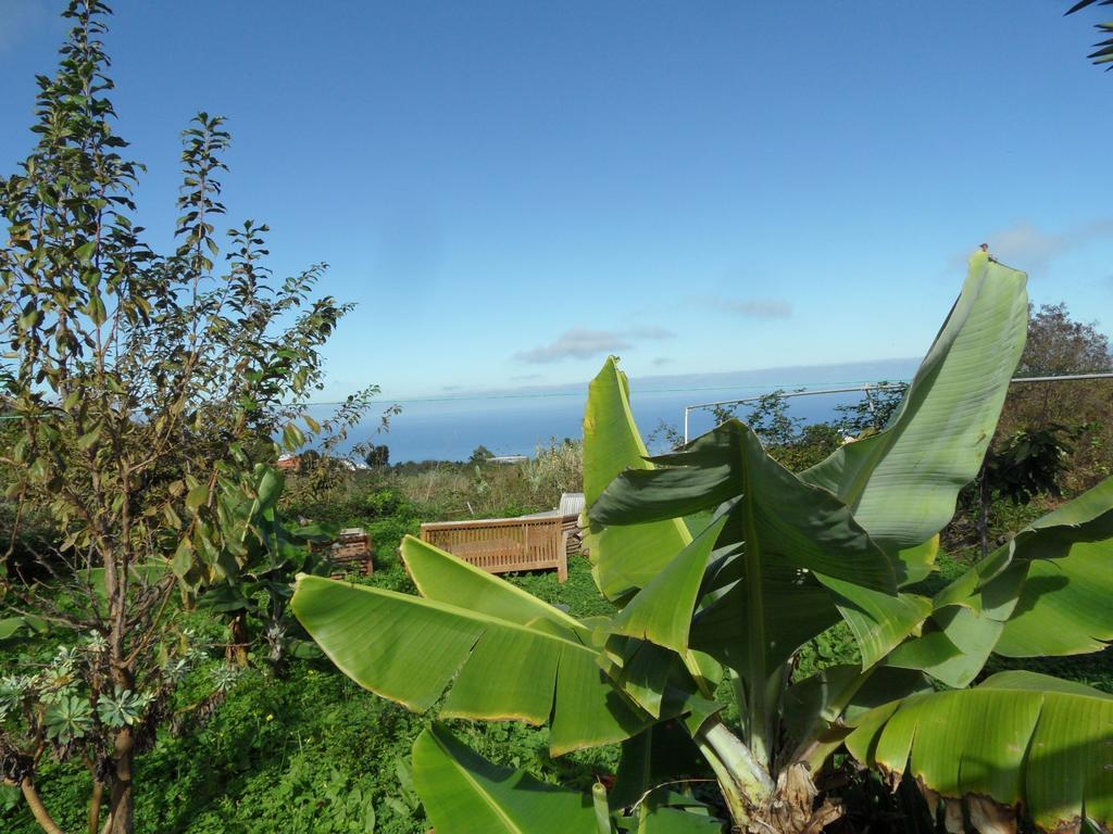 Finca Cueva Del Viento Icod De Los Vinos Cameră foto
