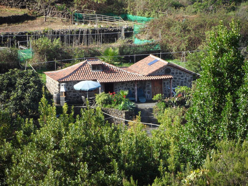Finca Cueva Del Viento Icod De Los Vinos Cameră foto