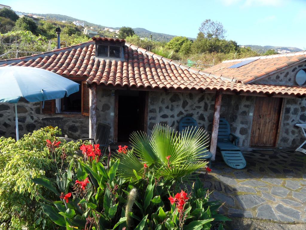 Finca Cueva Del Viento Icod De Los Vinos Cameră foto