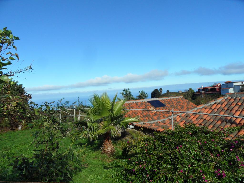 Finca Cueva Del Viento Icod De Los Vinos Cameră foto