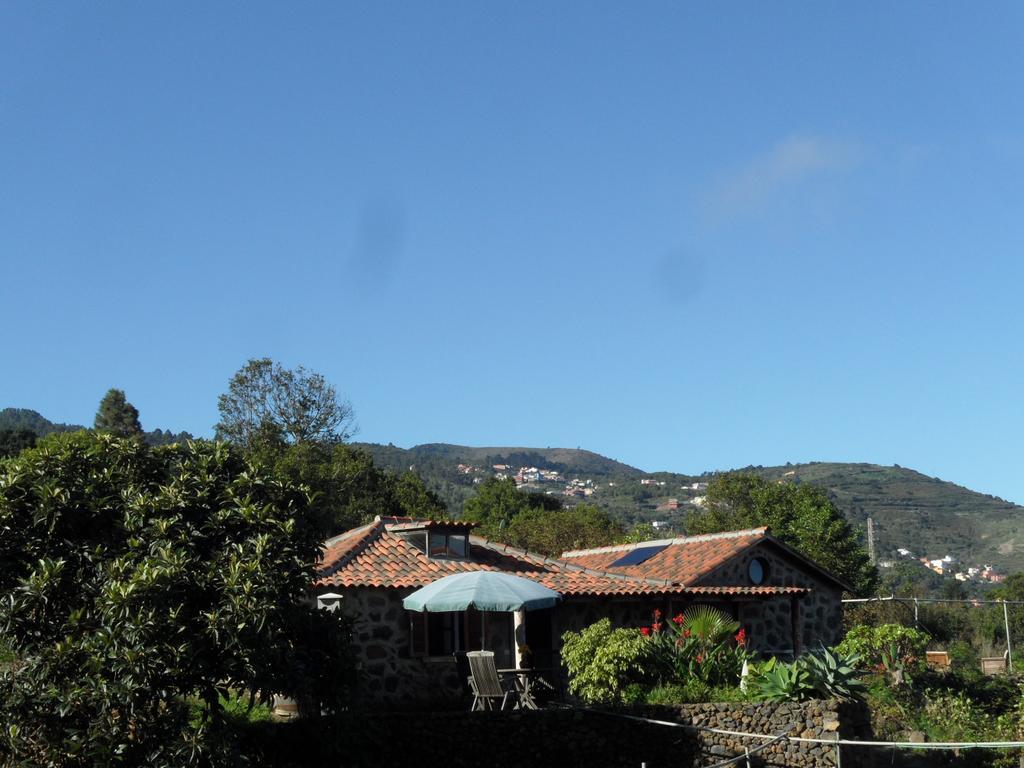 Finca Cueva Del Viento Icod De Los Vinos Cameră foto