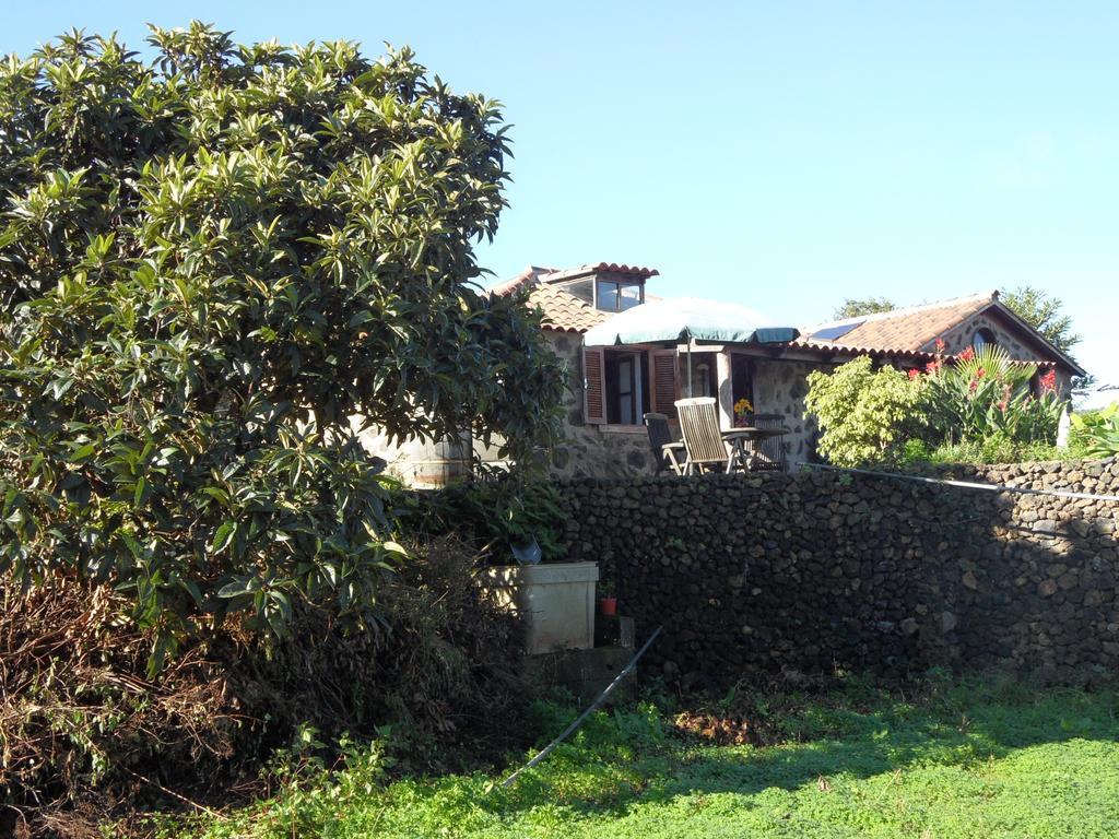 Finca Cueva Del Viento Icod De Los Vinos Cameră foto